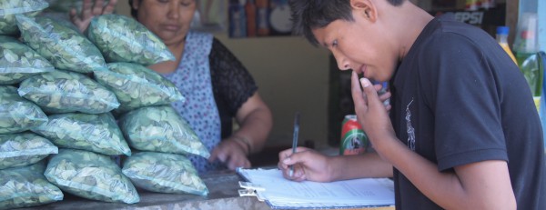 (Español) Haciendo la encuesta